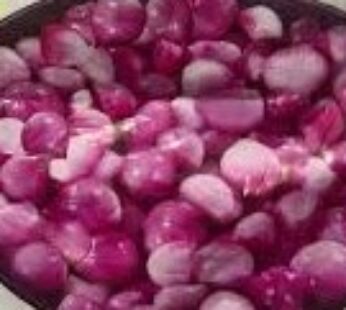 YUMMIES RED ONIONS